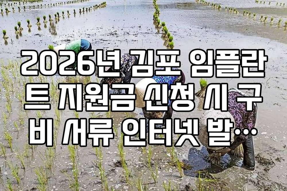2026년 김포 임플란트 지원금 신청 시 구비 서류 인터넷 발급법