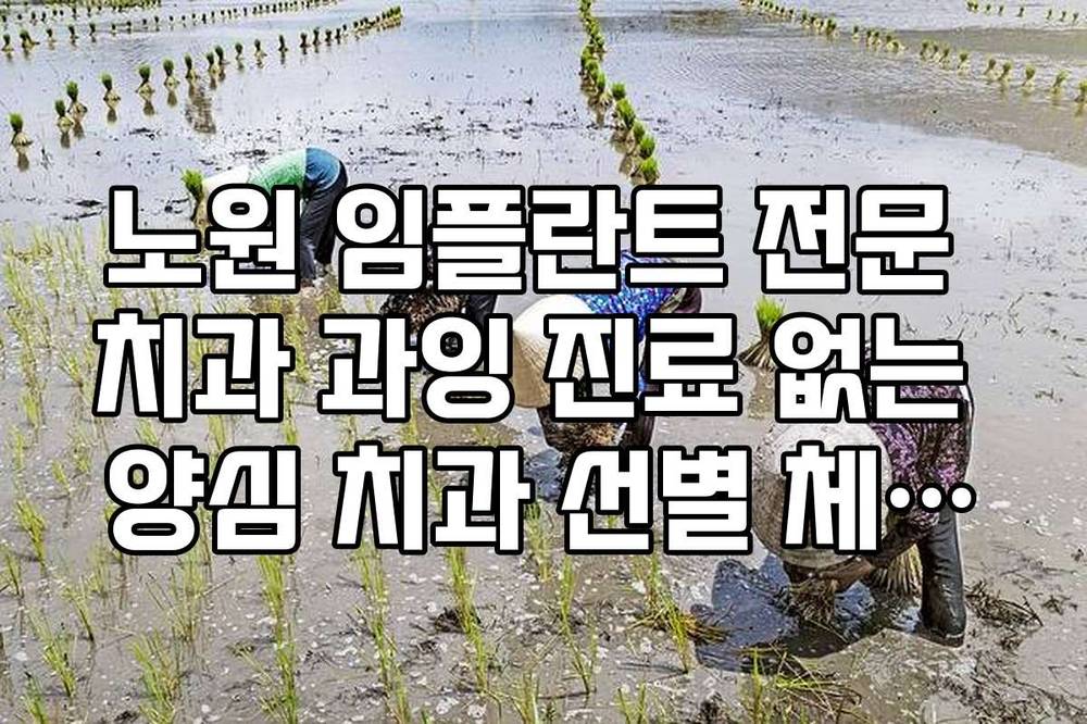 노원 임플란트 전문 치과 과잉 진료 없는 양심 치과 선별 체크리스트