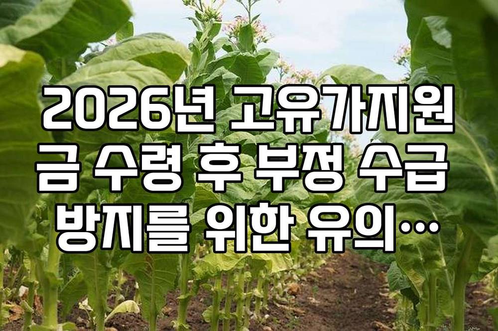 2026년 고유가지원금 수령 후 부정 수급 방지를 위한 유의사항