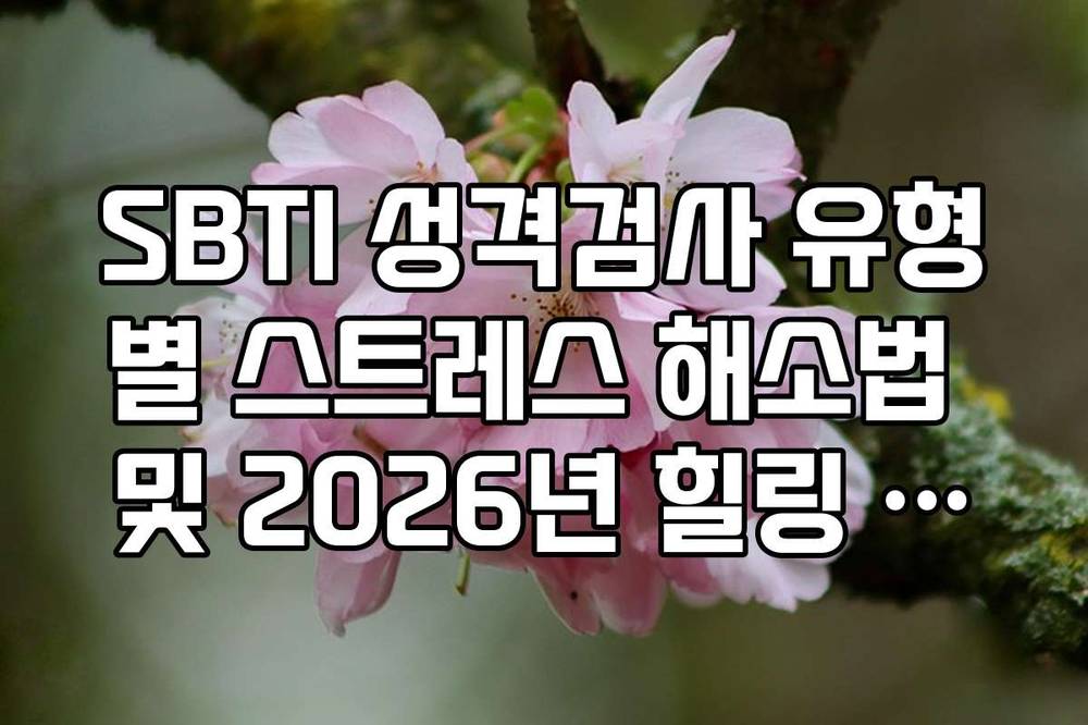 SBTI 성격검사 유형별 스트레스 해소법 및 2026년 힐링 테마 추천