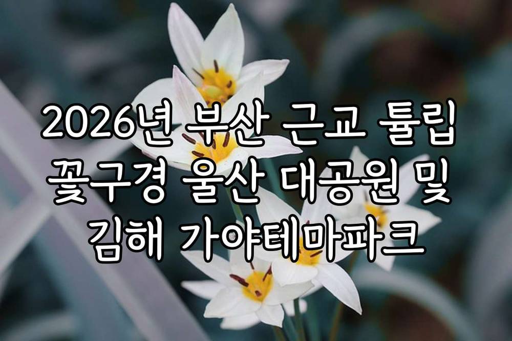 2026년 부산 근교 튤립 꽃구경 울산 대공원 및 김해 가야테마파크
