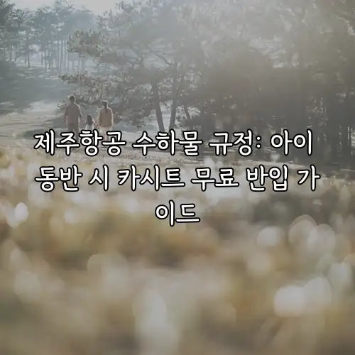 제주항공 수하물 규정: 아이 동반 시 카시트 무료 반입 가이드