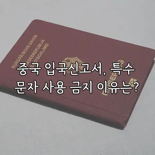 중국 입국신고서, 특수 문자 사용 금지 이유는?