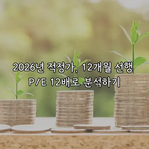 2026년 적정가, 12개월 선행 P/E 12배로 분석하기