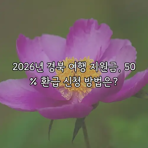 2026년 경북 여행 지원금, 50% 환급 신청 방법은?
