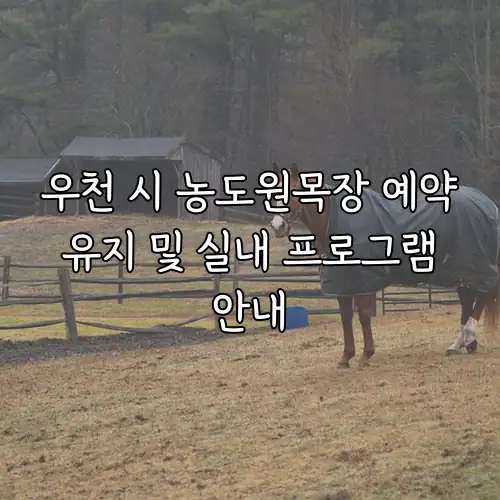 우천 시 농도원목장 예약 유지 및 실내 프로그램 안내