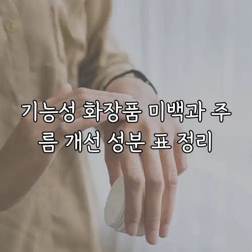 기능성 화장품 미백과 주름 개선 성분 표 정리