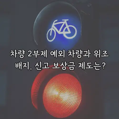 차량 2부제 예외 차량과 위조 배지, 신고 보상금 제도는?