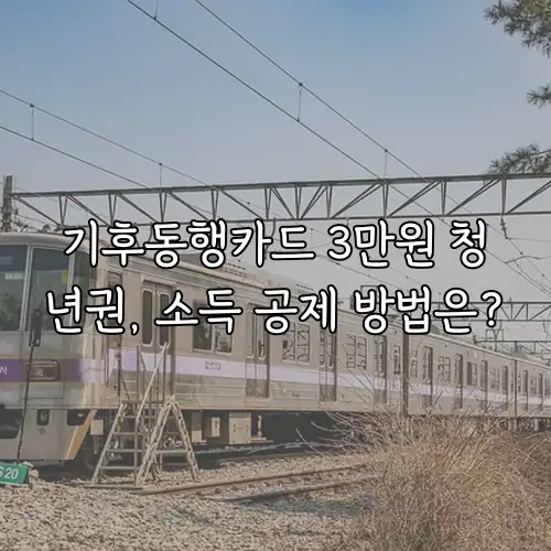 기후동행카드 3만원 청년권, 소득 공제 방법은?