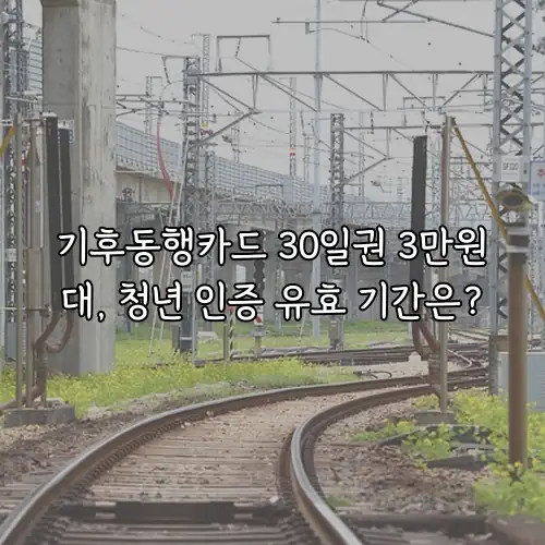 기후동행카드 30일권 3만원대, 청년 인증 유효 기간은?