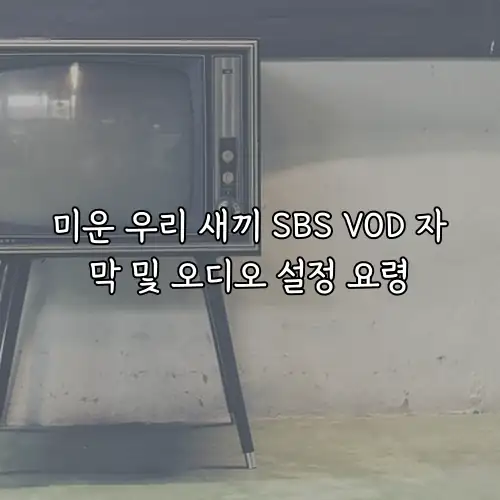 미운 우리 새끼 SBS VOD 자막 및 오디오 설정 요령