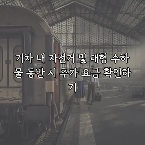 기차 내 자전거 및 대형 수하물 동반 시 추가 요금 확인하기