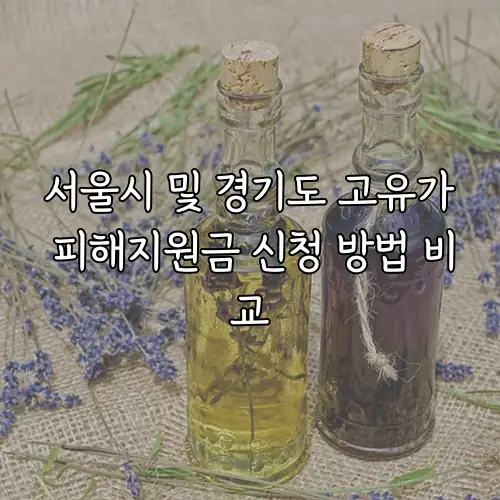 서울시 및 경기도 고유가 피해지원금 신청 방법 비교