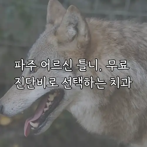 파주 어르신 틀니, 무료 진단비로 선택하는 치과