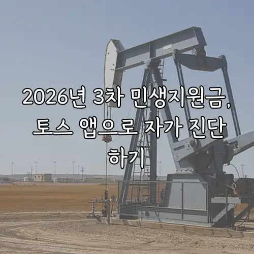 2026년 3차 민생지원금, 토스 앱으로 자가 진단하기