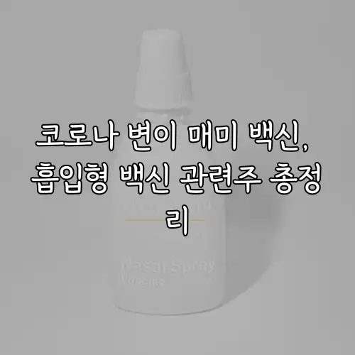 코로나 변이 매미 백신, 흡입형 백신 관련주 총정리