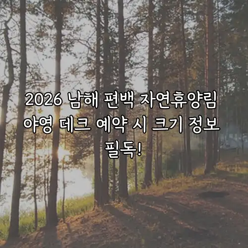 2026 남해 편백 자연휴양림 야영 데크 예약 시 크기 정보 필독!