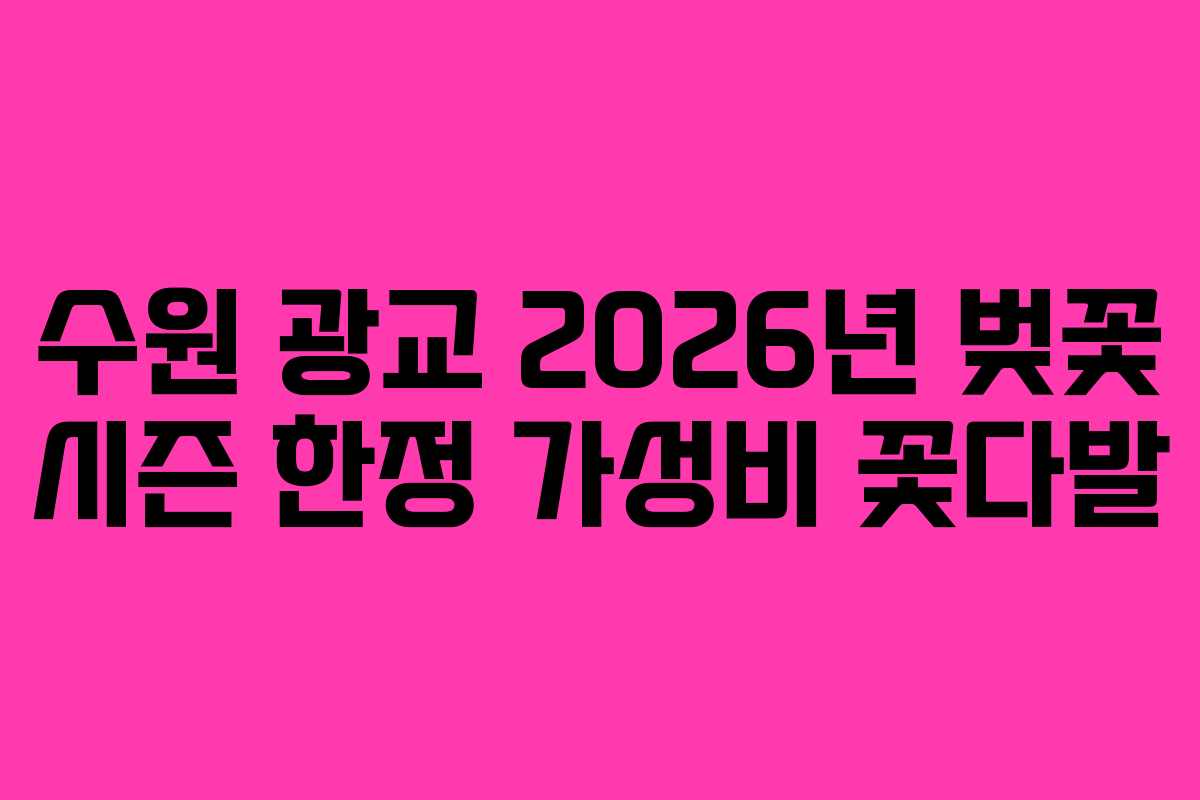 수원-광교-2026년-벚꽃-시즌-한정-가성비-꽃다발