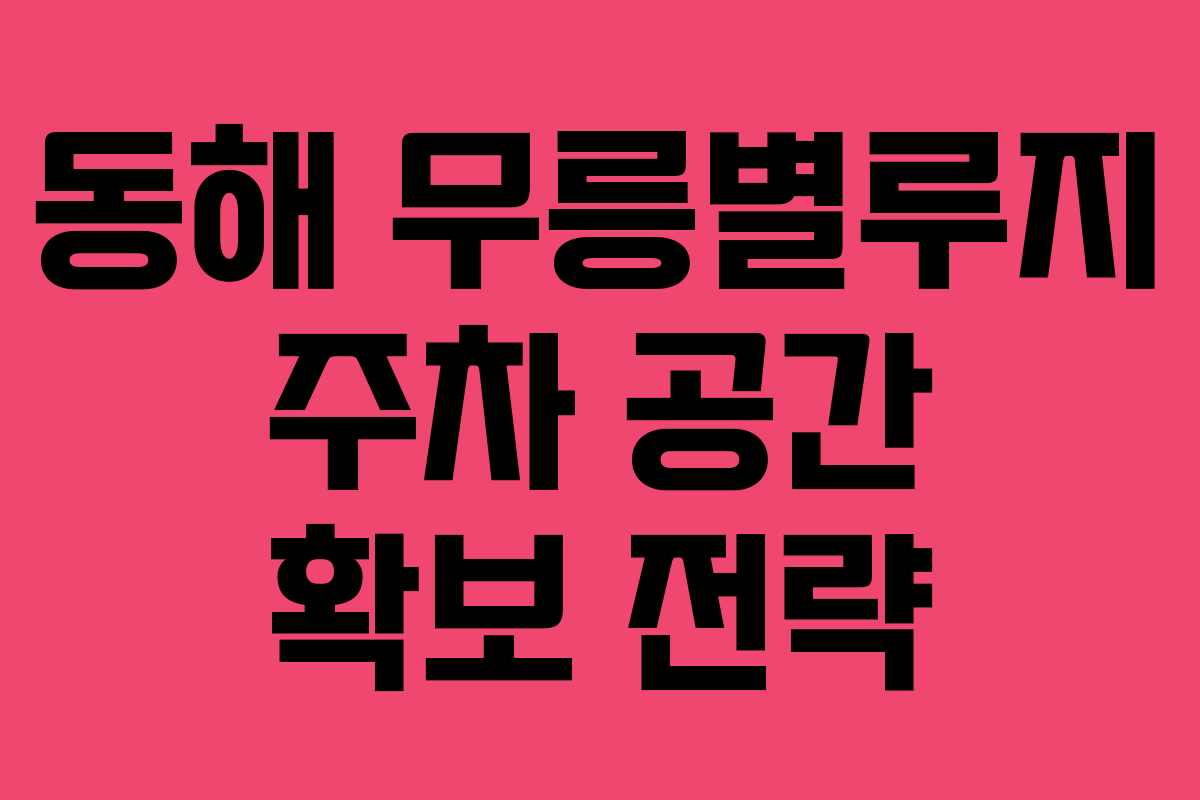 동해-무릉별루지-주차-공간-확보-전략
