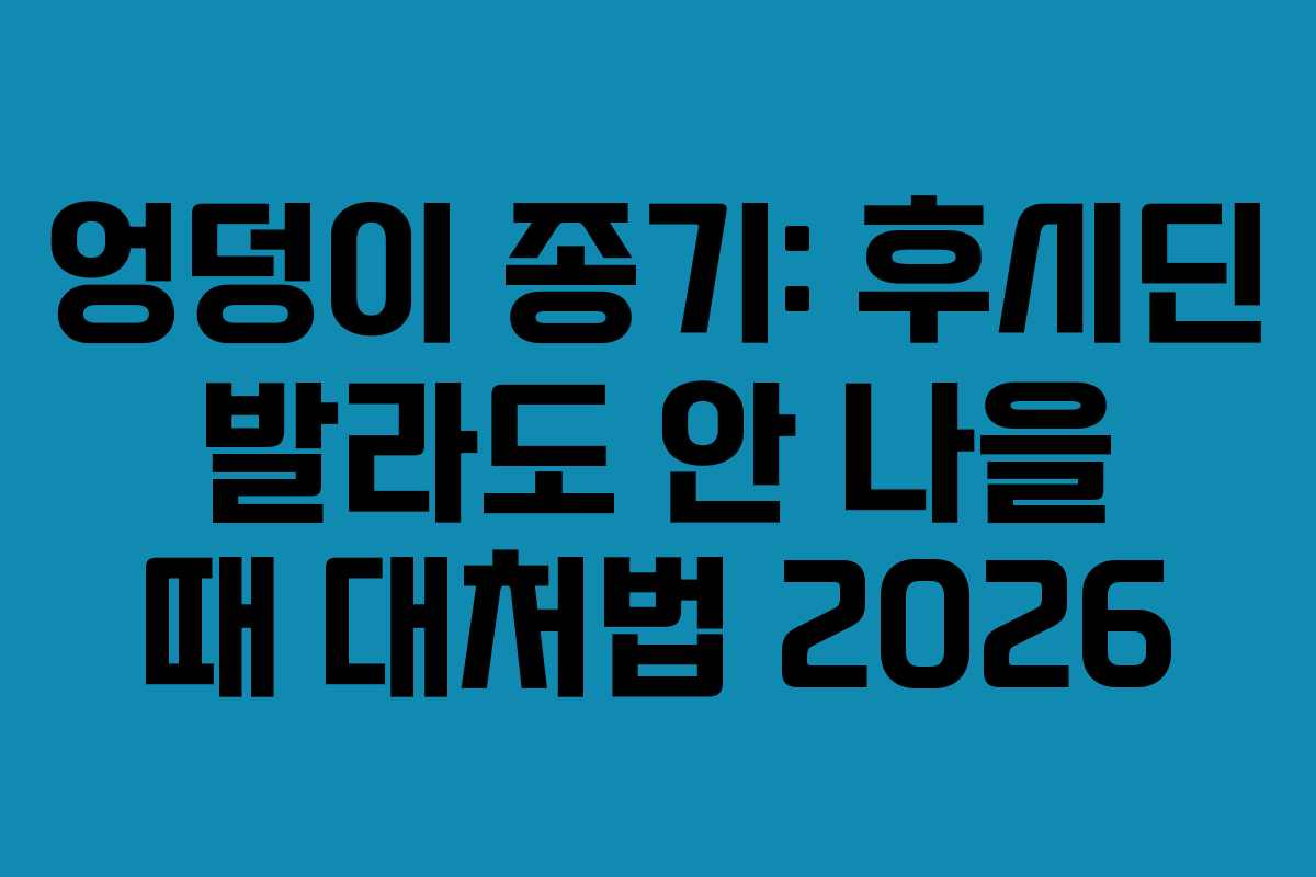 엉덩이-종기-후시딘-발라도-안-나을-때-대처법-2026