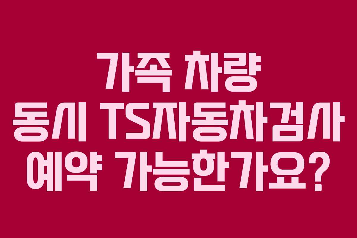 가족-차량-동시-TS자동차검사-예약-가능한가요
