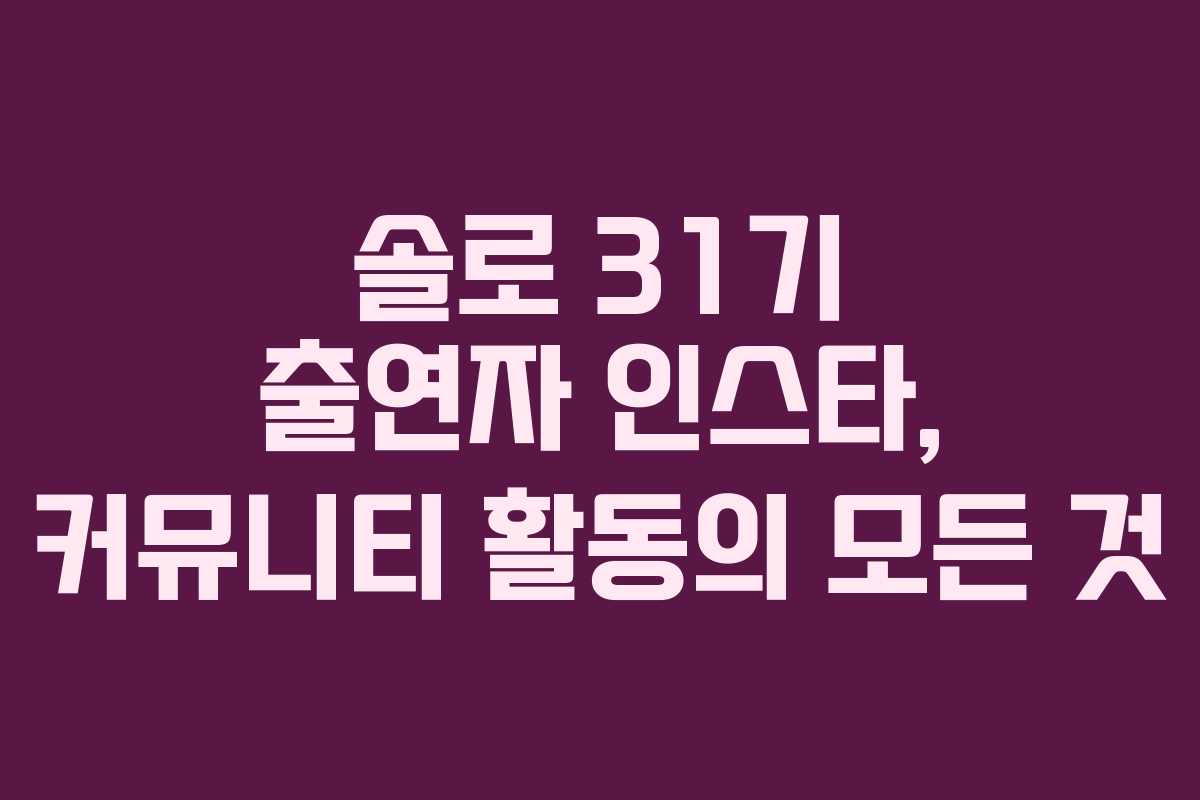 솔로-31기-출연자-인스타,-커뮤니티-활동의-모든-것