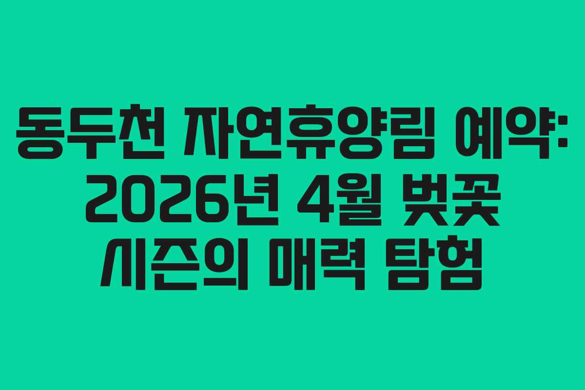 동두천-자연휴양림-예약-2026년-4월-벚꽃-시즌의-매력-탐험