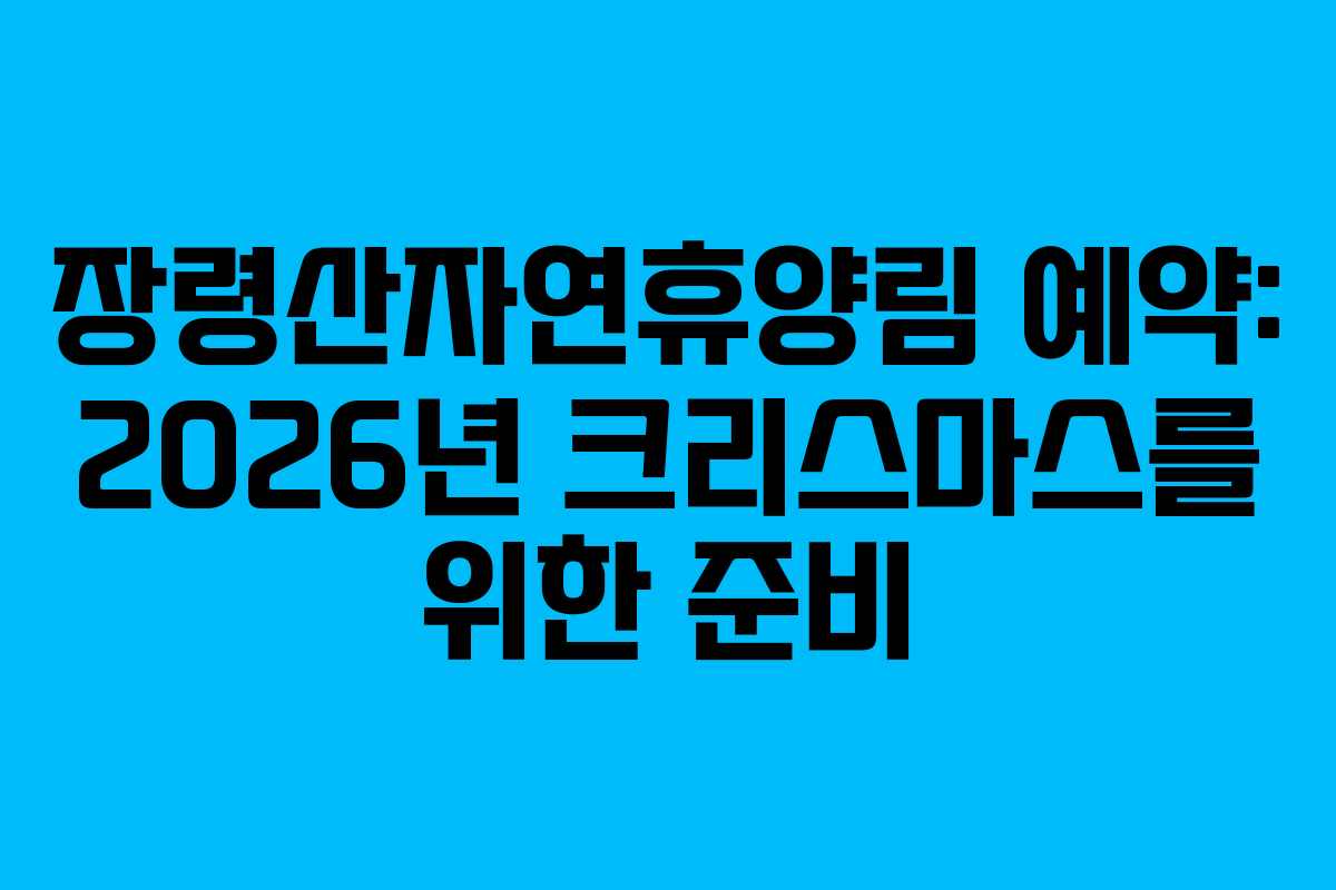 장령산자연휴양림-예약-2026년-크리스마스를-위한-준비