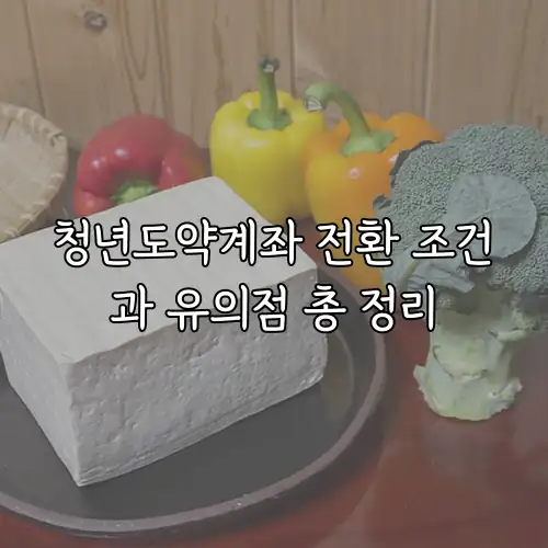 청년도약계좌 전환 조건과 유의점 총 정리