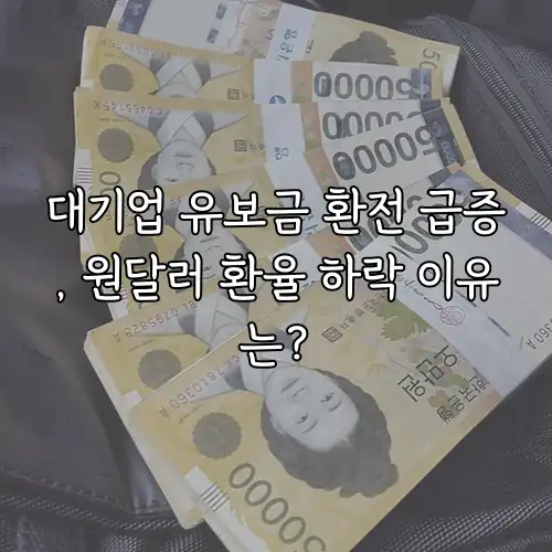 대기업 유보금 환전 급증, 원달러 환율 하락 이유는?