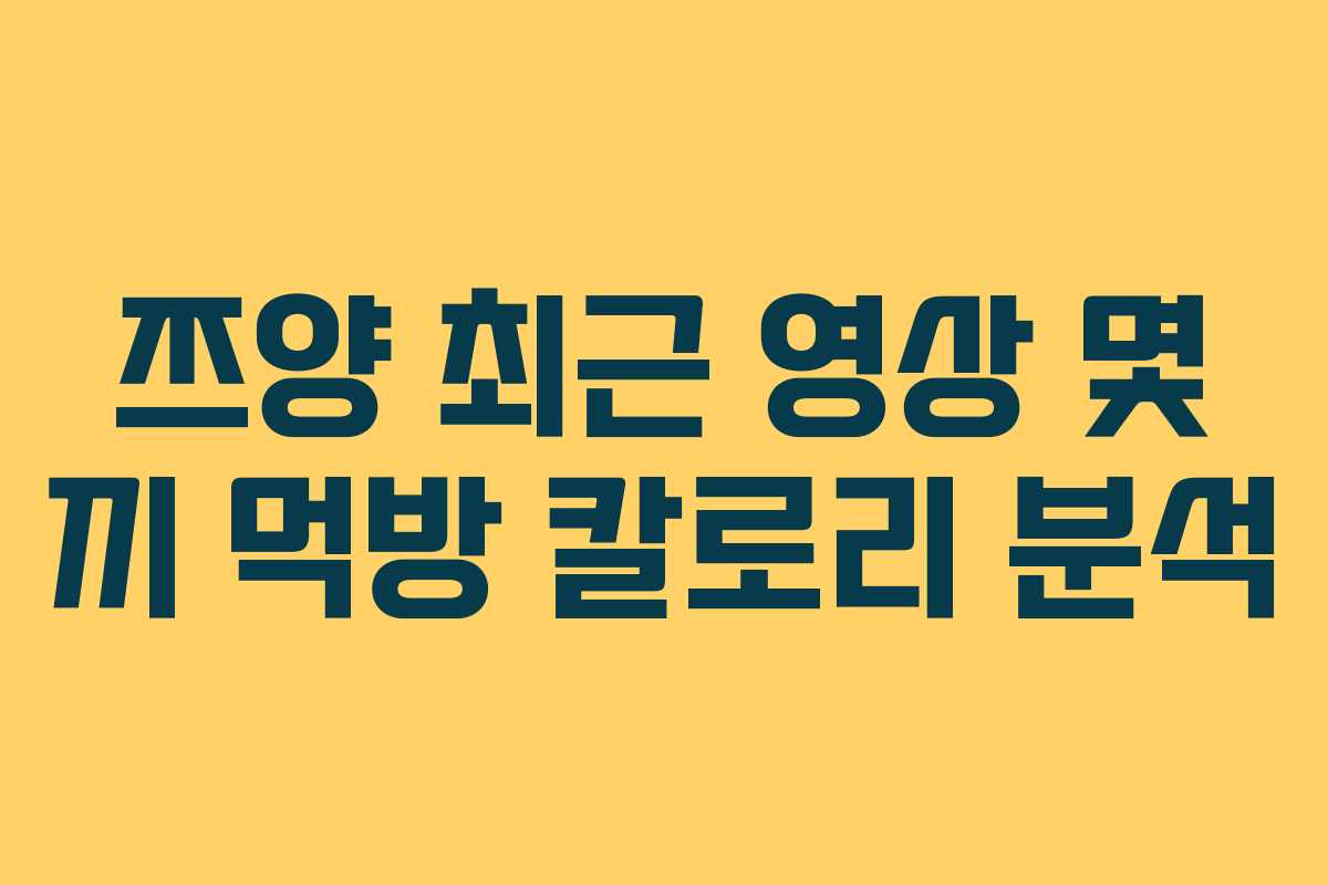 쯔양-최근-영상-몇-끼-먹방-칼로리-분석