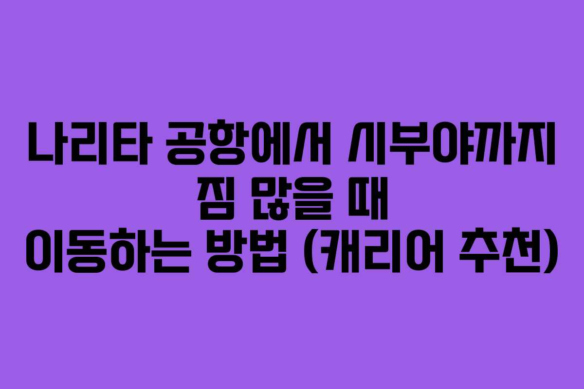 나리타-공항에서-시부야까지-짐-많을-때-이동하는-방법-(캐리어-추천)