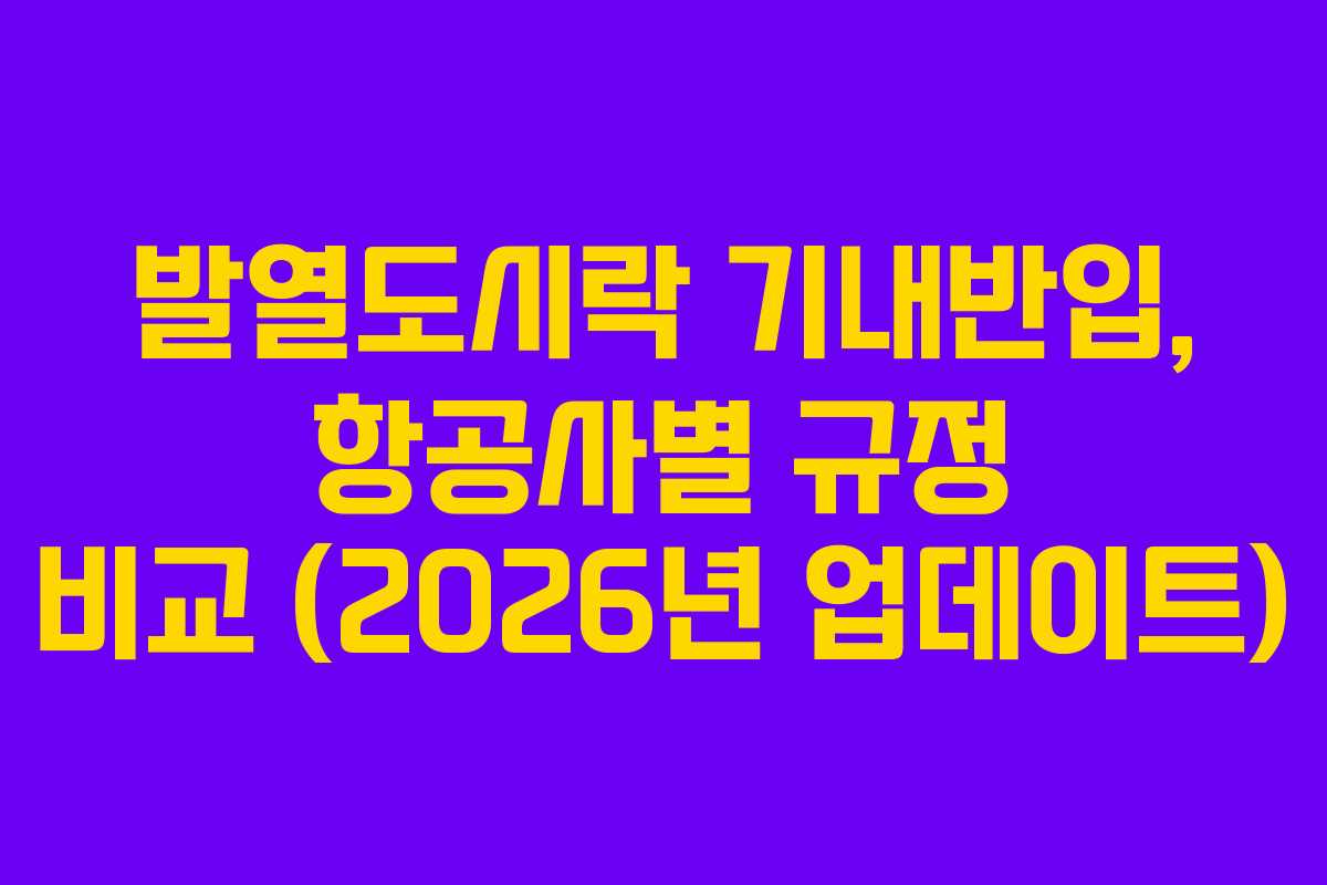 발열도시락-기내반입,-항공사별-규정-비교-(2026년-업데이트)