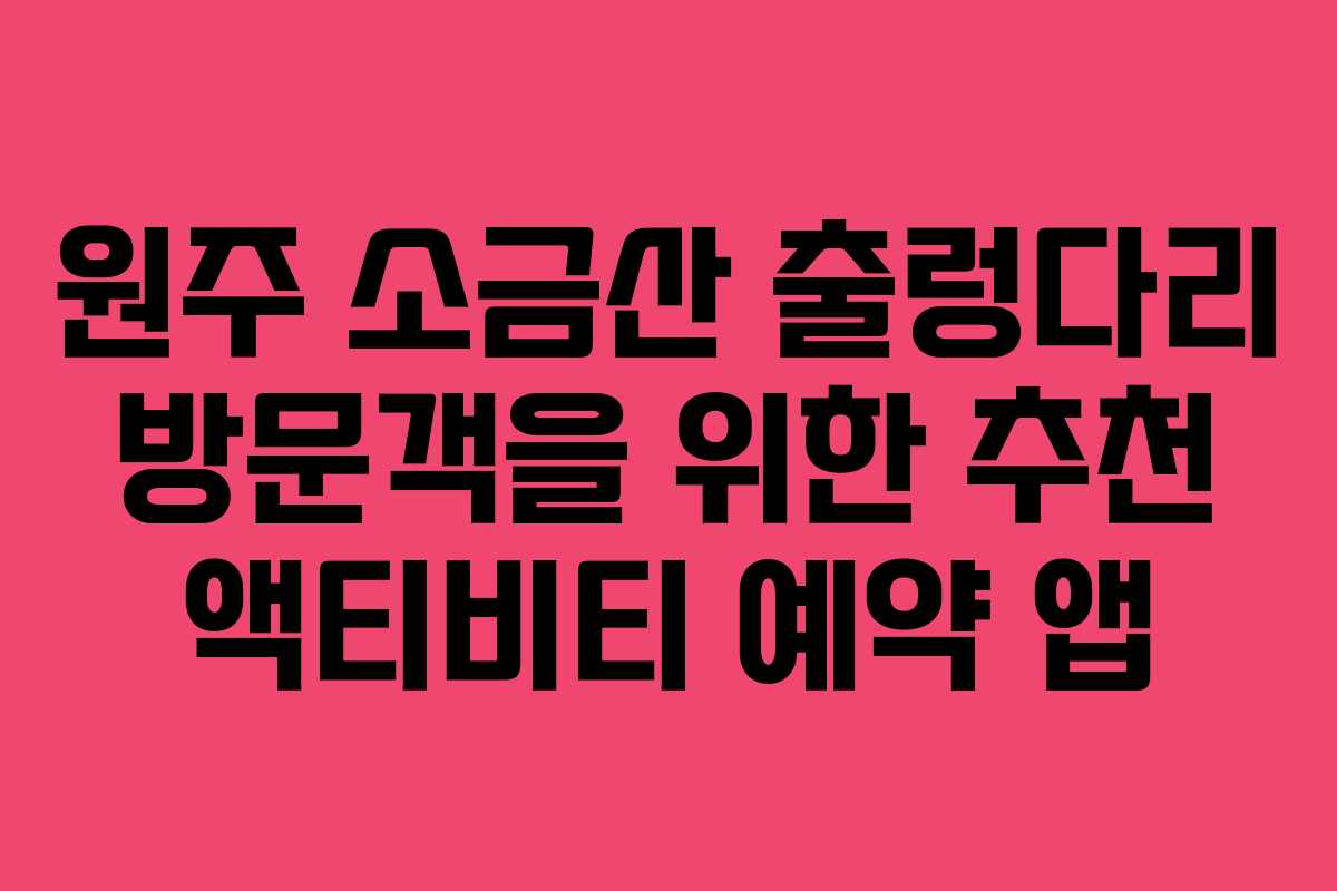 원주-소금산-출렁다리-방문객을-위한-추천-액티비티-예약-앱
