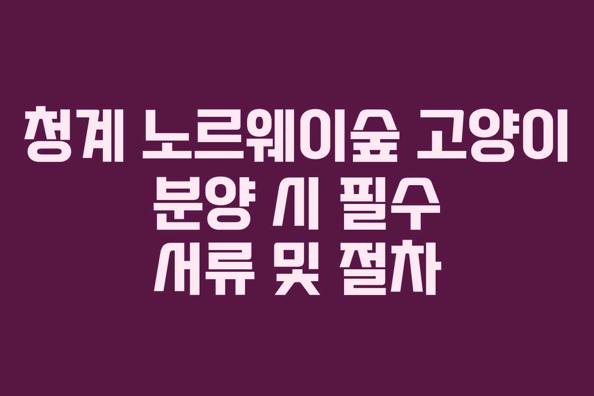 청계-노르웨이숲-고양이-분양-시-필수-서류-및-절차