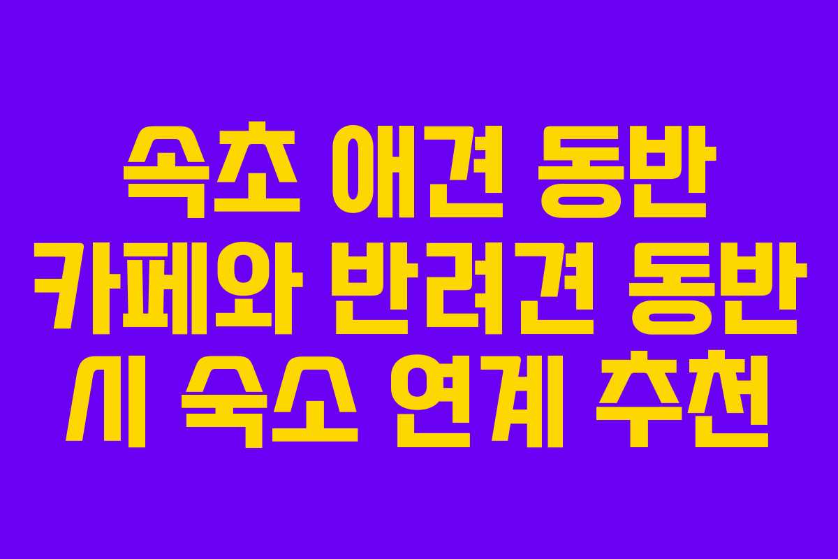 속초-애견-동반-카페와-반려견-동반-시-숙소-연계-추천